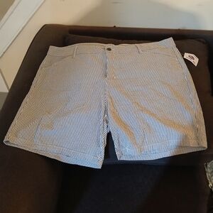 NWT St John Bay Blue & White Striped 22W Shorts (072525B)